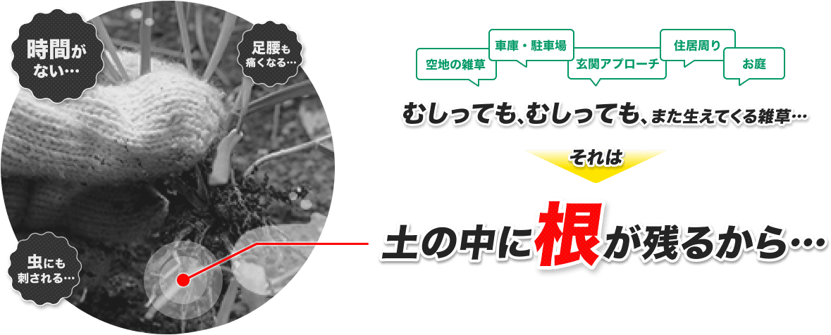 時間がない…、足腰も痛くなる…、虫にも刺される…　空地の雑草、車庫・駐車場、玄関アプローチ、住居周り、お庭　むしっても、むしっても、または得てくる雑草… それは 土の中に根が残るから…