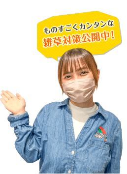 ものすごくカンタンな雑草対策公開中！