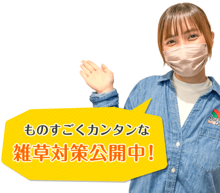 ものすごくカンタンな雑草対策公開中！