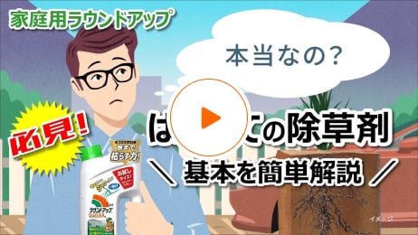 はじめての除草剤！時間がない方でもササッと基本を簡単解説！