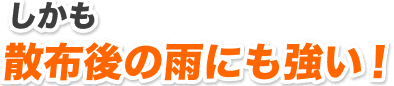 しかも散布1時間後の雨に強い！