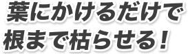 葉にかけるだけで根まで枯らせる！