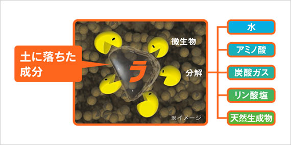 土に落ちた成分は、微生物により自然物に分解!