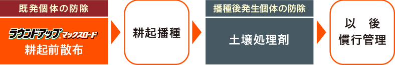 体系防除で株間雑草もしっかり抑える！