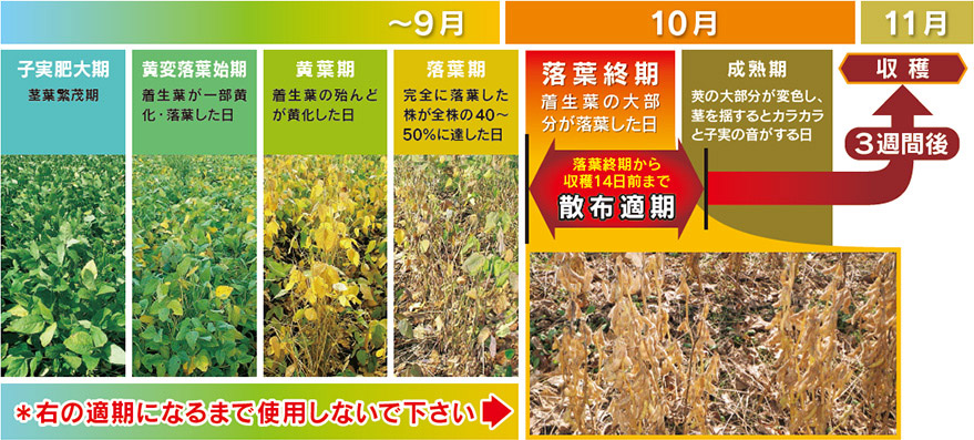 作物別の効果的な防除 大豆収穫前 除草剤ならラウンドアップマックスロード