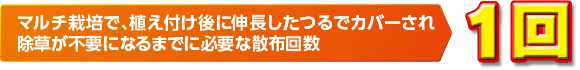 マルチ栽培で、植え付け後に伸長したつるでカバ一され　除草が不要になるまでに必要な散布回数 1回