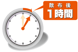 散布後1時間