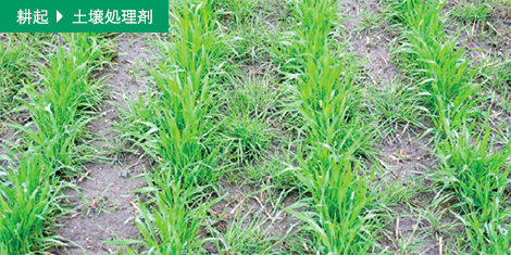 耕起→土壌処理剤*