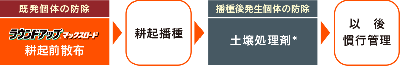 体系防除で株間雑草もしっかり抑える！