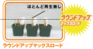 ラウンドアップマックスロード　ほとんど再生無し　ラウンドアップマックスロード