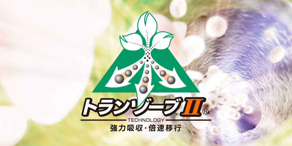 トランゾ一ブⅡ ® TECHNOLOGY 強カ吸収・倍速移行