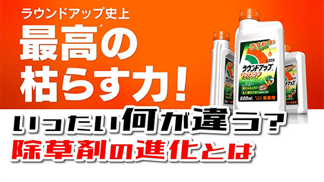 非選択性茎葉処理除草剤ってどれも同じと思ってませんか?