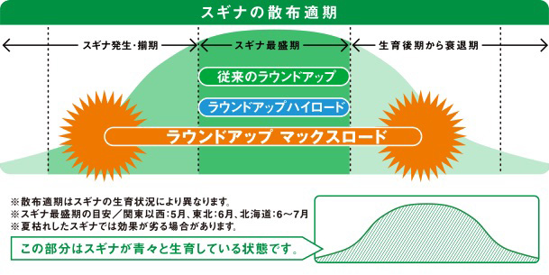 スギナの散布適期