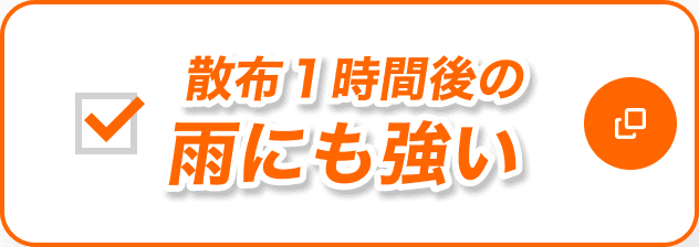 散布1時間後の雨にも強い