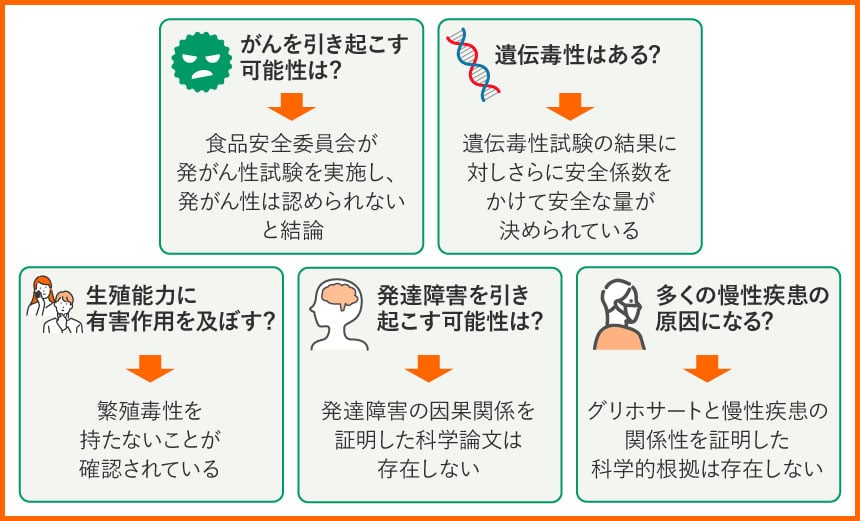 がんを引き起こす可能性は？ 食品安全委員会が発がん性試験を実施し、発がん性は認められないと結論 遺伝毒性はある？遺伝毒性試験の結果に対しさらに安全係数をかけて安全な量が決められている 生殖能力に有害作用を及ぼす？繁殖毒性を持たないことが確認されている 発達障害を引き起こす可能性は？ 発達障害の因果関係を証明した科学論文は存在しない 多くの慢性疾患の原因になる？ グリホサートと慢性疾患の関係性を証明した科学的根拠は存在しない