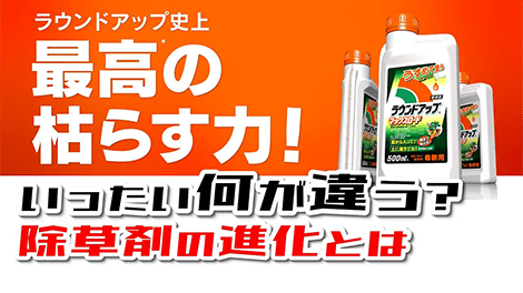 非選択性茎葉処理除草剤ってどれも同じと思ってませんか？